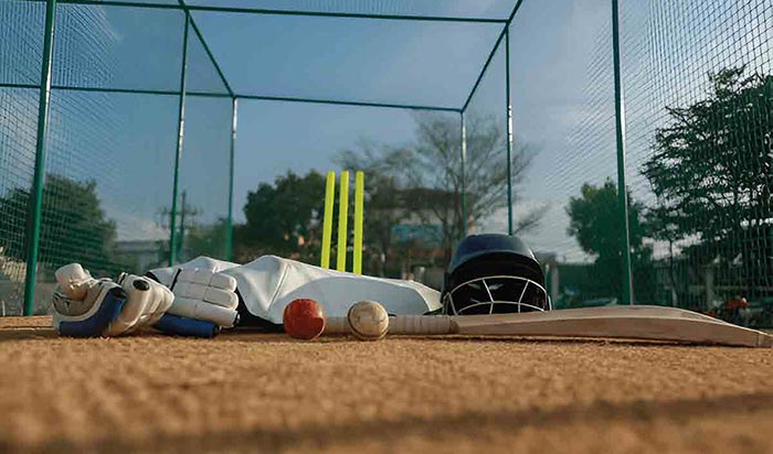 Cricket Net Pitch